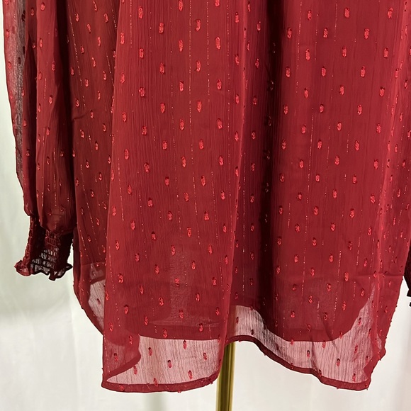 Tamara H. Shimmery Maroon Swiss Dot Long Sleeve Smocked Wrist Blouse - Picture 8 of 16